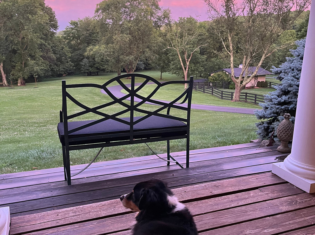 Welsh Hills Inn主图