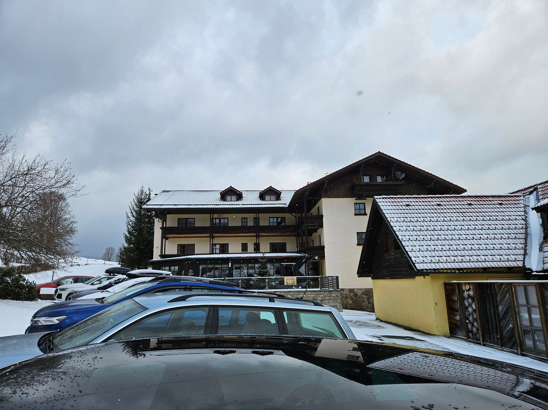 Waldhotel Seebachschleife主图