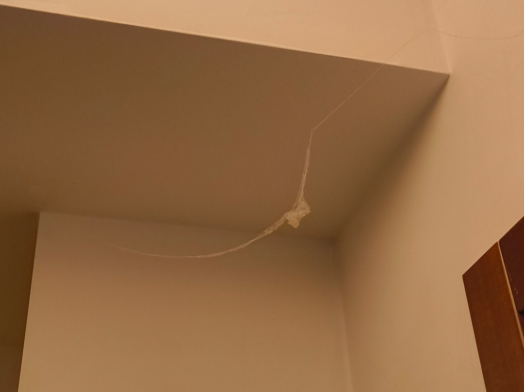 伊尔绅士酒店主图