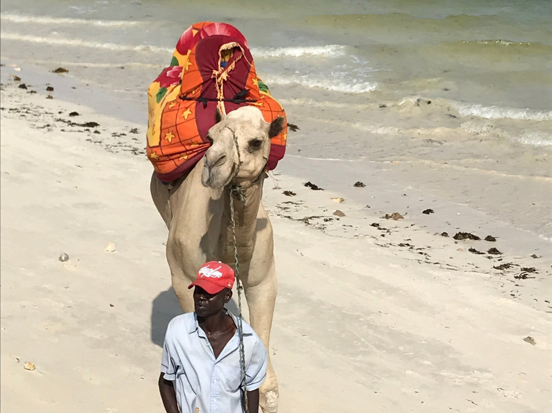 Azul Margarita Beach Resort主图