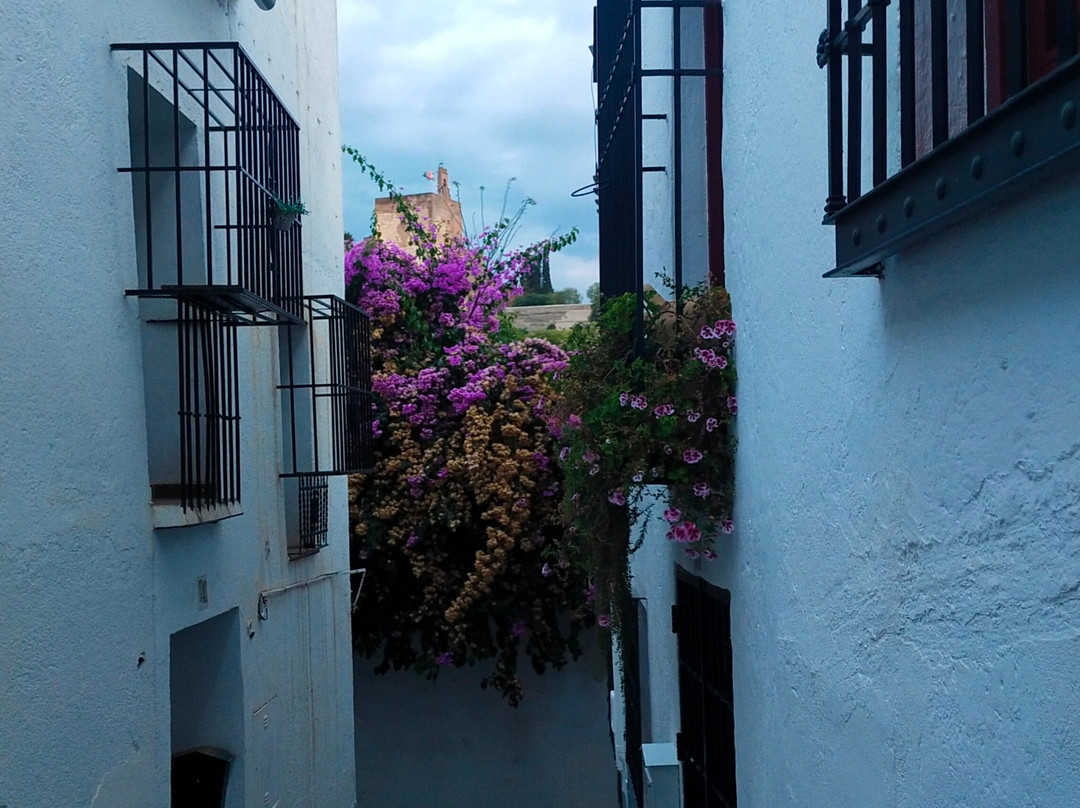 Tour Guide in Granada-格拉纳达必去景点