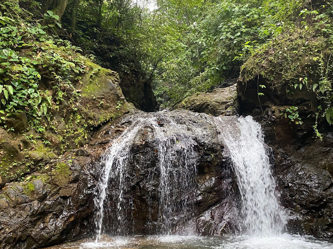 Emanuel waterfalls tours景点图片