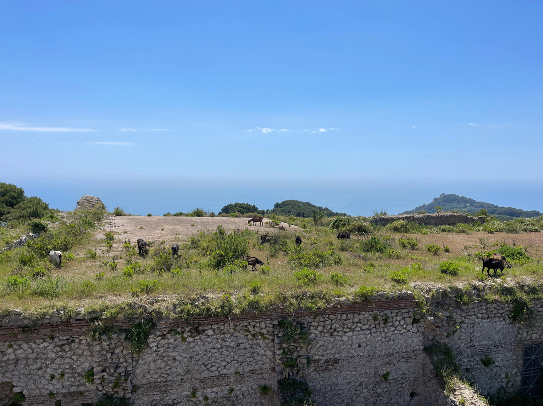 Villa Jovis景点图片
