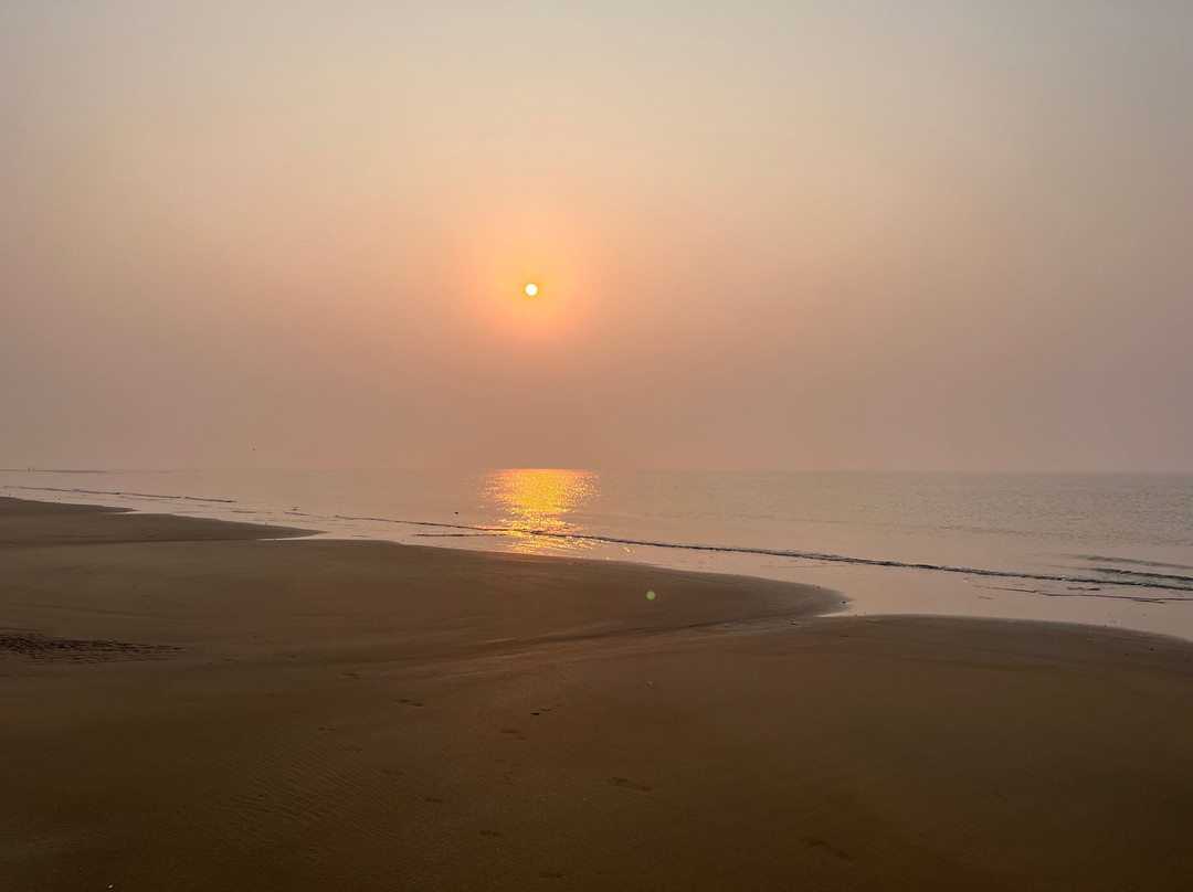 Tajpur Beach景点图片