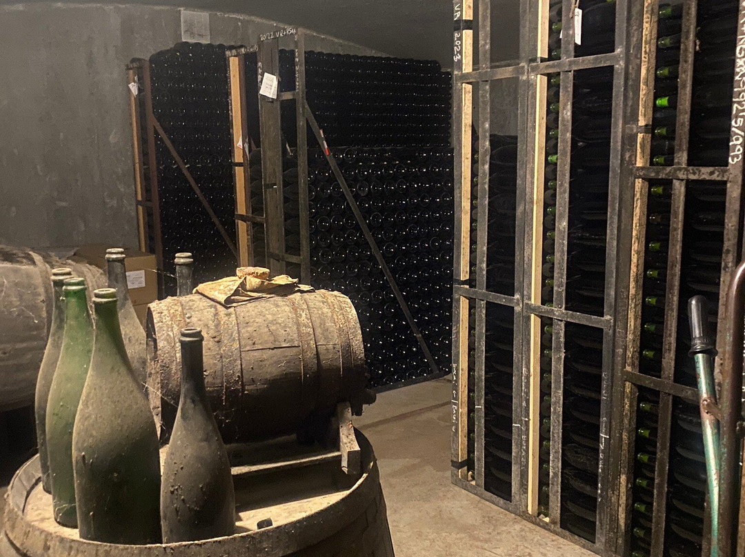 Mas Molla Des de 1338-Calonge必去景点