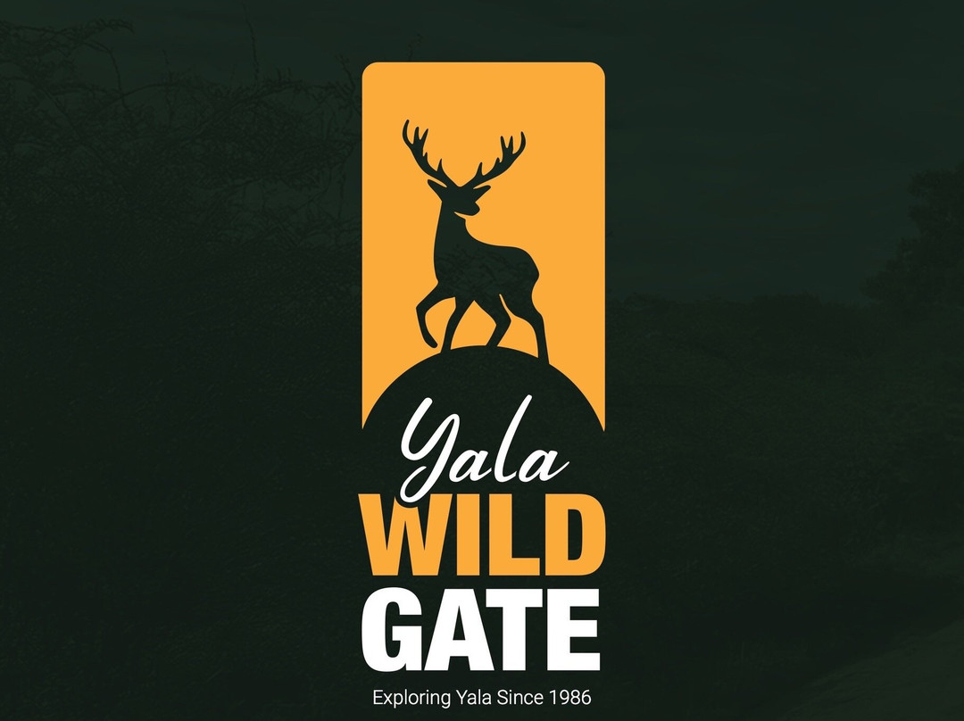Yala Wild Gate Safari-Yala必去景点
