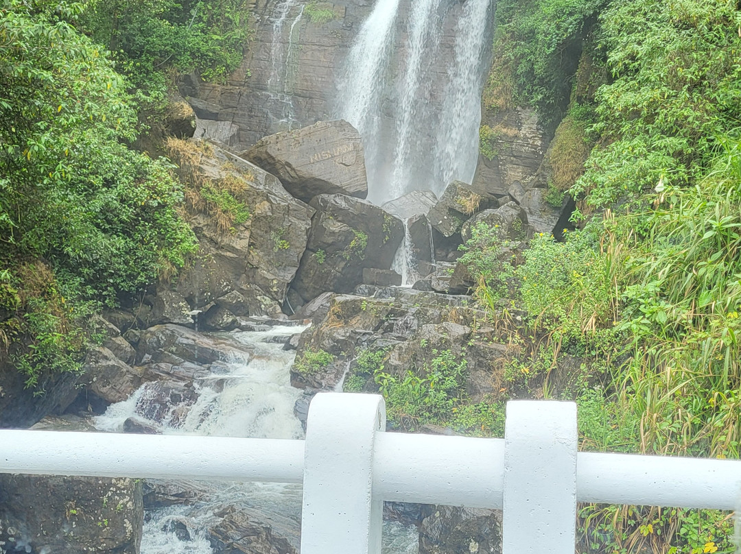 Green Lanka Travel and Tourism-Meegoda必去景点