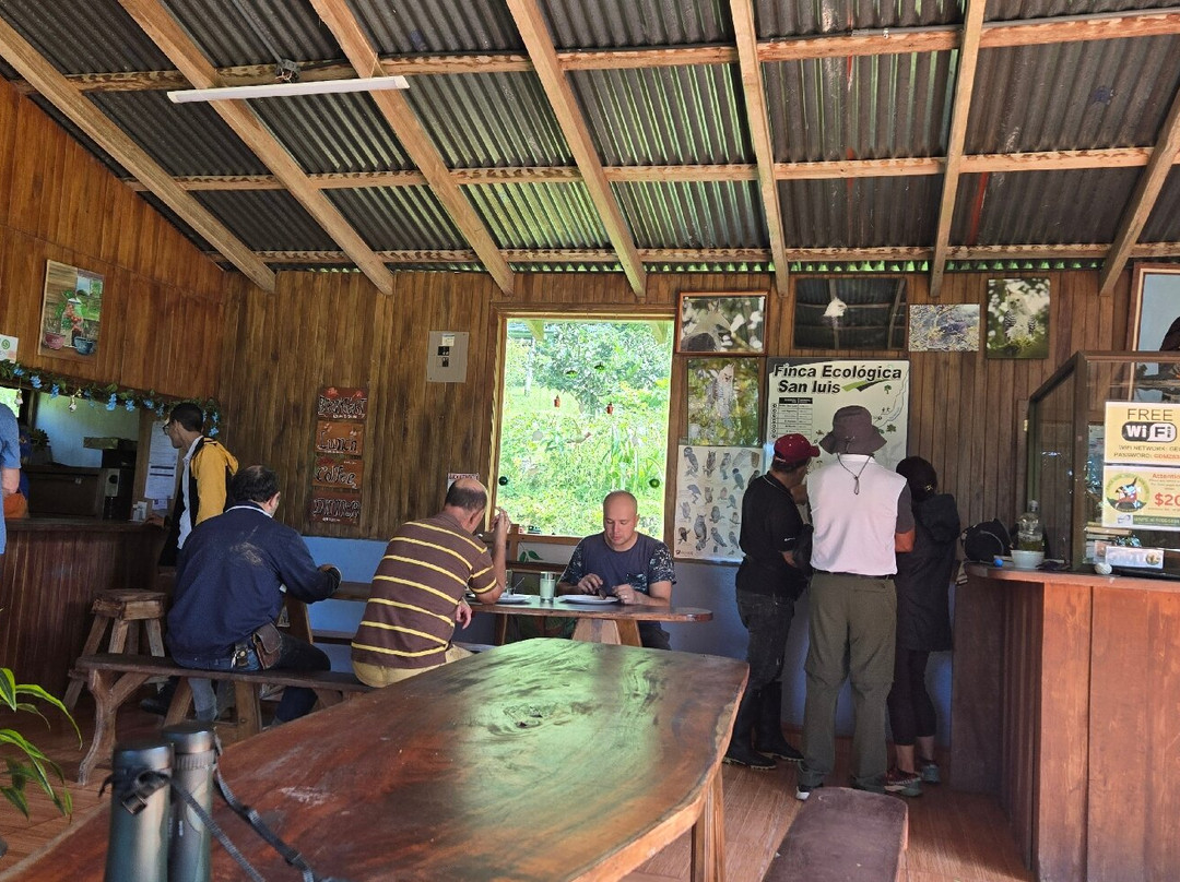 Finca Ecologica San Luis-蒙特沃德必去景点