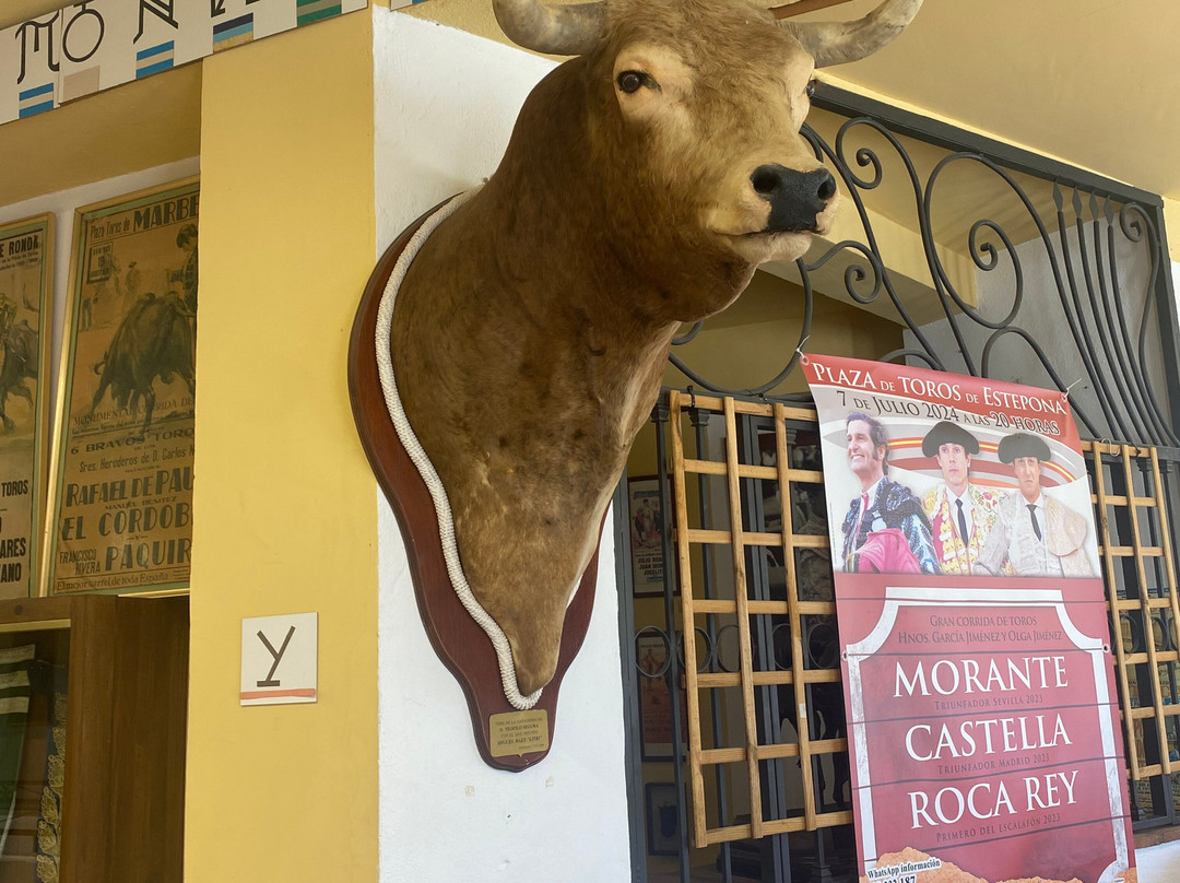 Plaza de Toros de Estepona景点图片