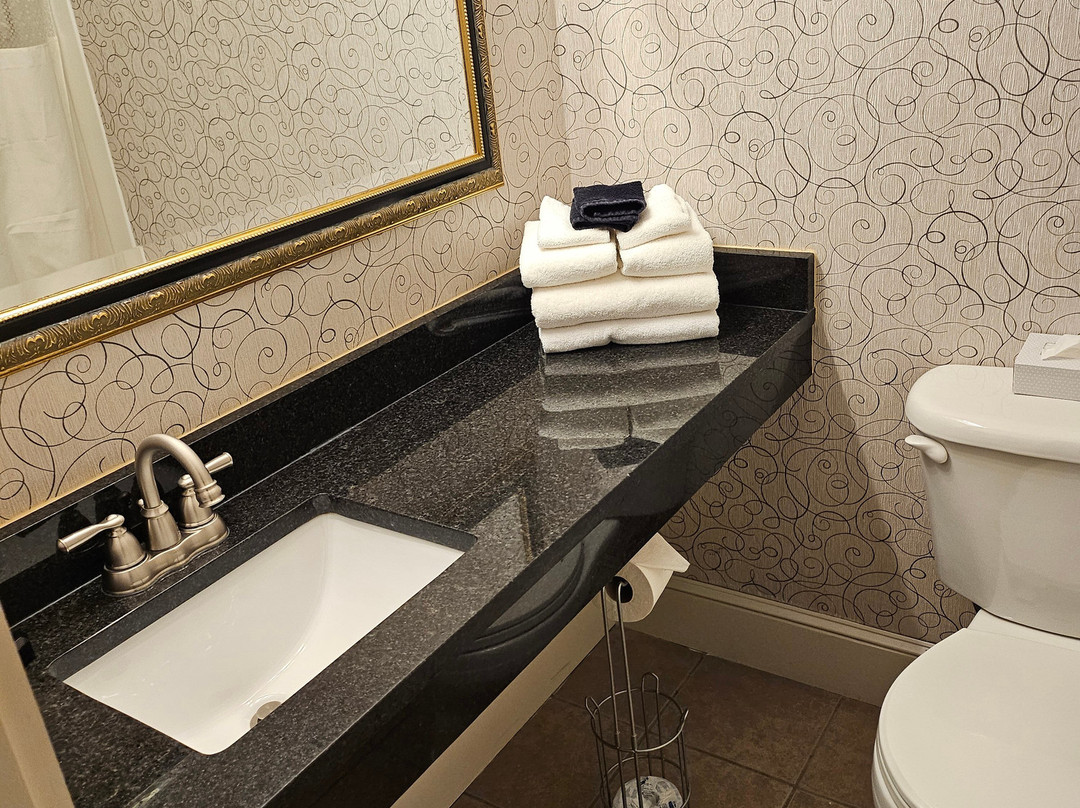 科罗尼尔酒店主图