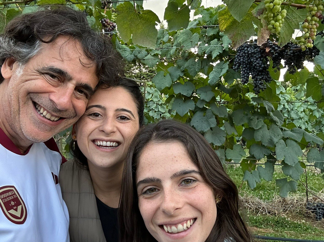 Vinícola Caetano Vicentino-Nova Padua必去景点