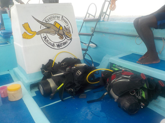 Kangaroo Divers-马林地必去景点