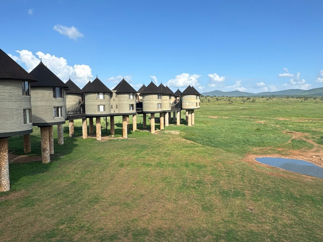 KingTomondo Safaris Kenya景点图片