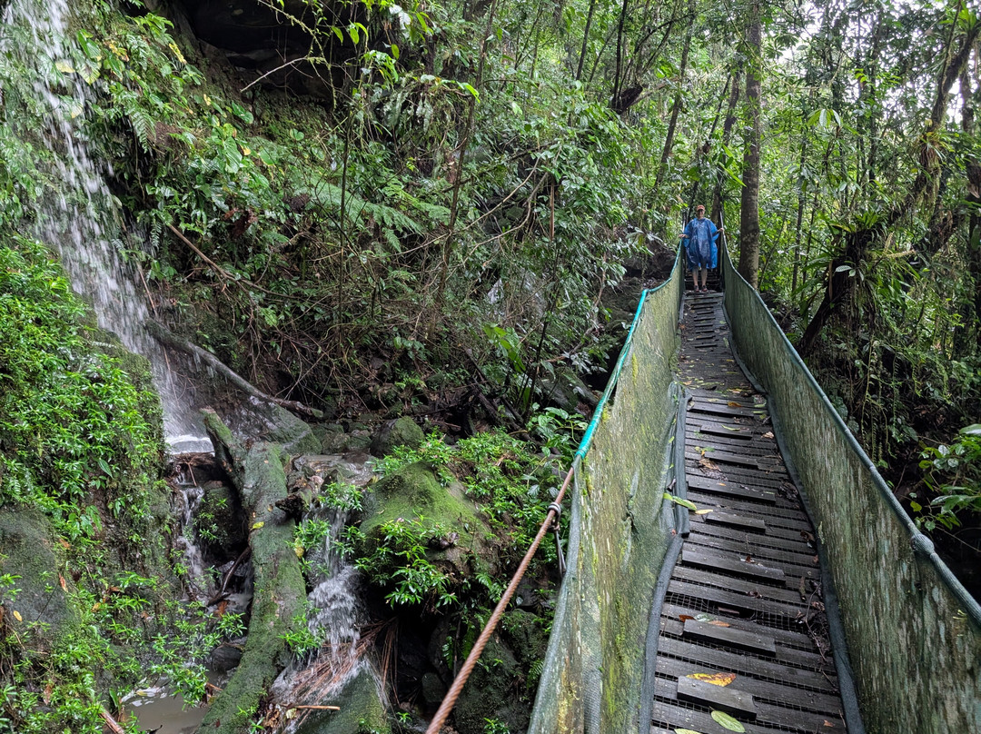 Maquengue Falls Natural Resort主图