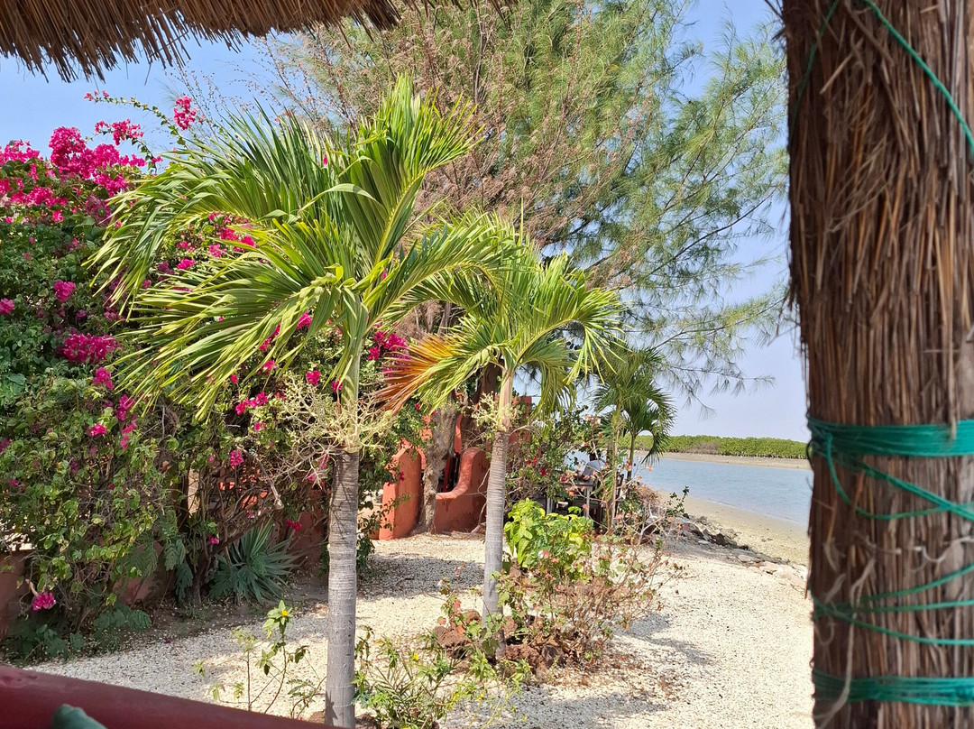 Sen Tourisme Senegal景点图片