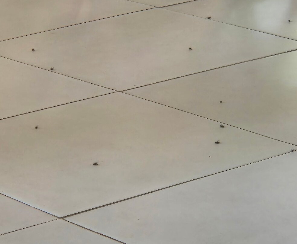 Hotel Arena Carneiros By AFT主图