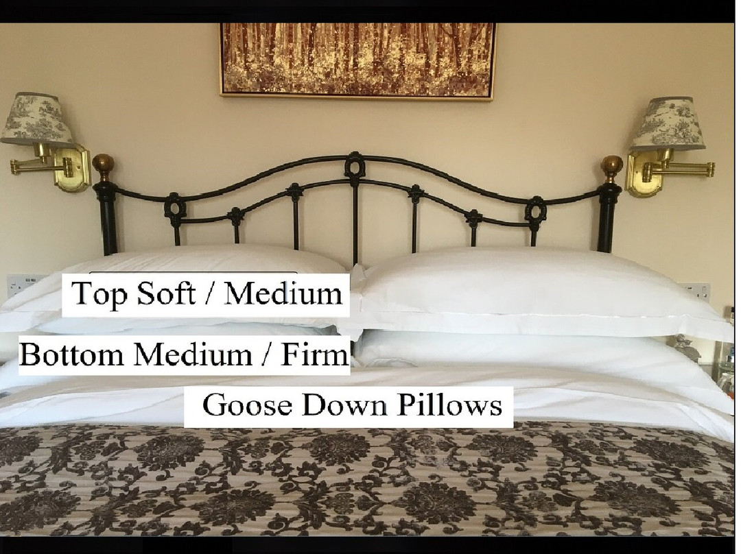 Little Redlands Bed & Breakfast主图