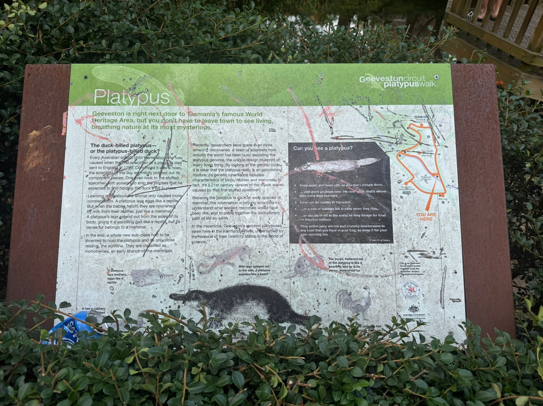 Platypus Walk-Geeveston必去景点