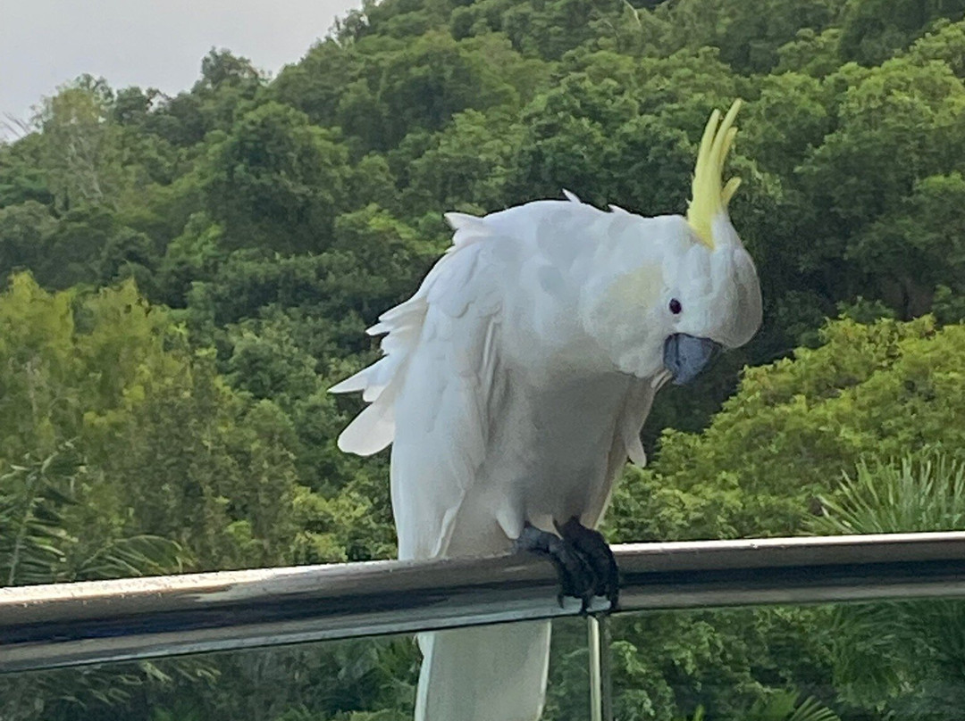 汉密尔顿岛码头-汉密尔顿岛必去景点