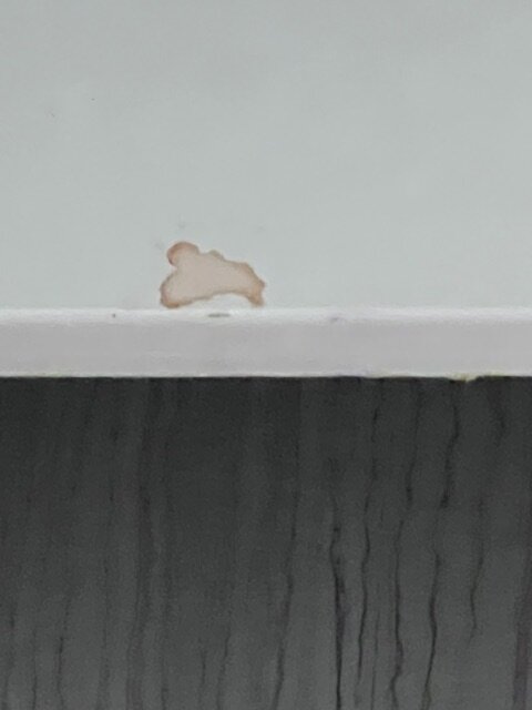 Doubletree By Hilton Manhattan-客卧