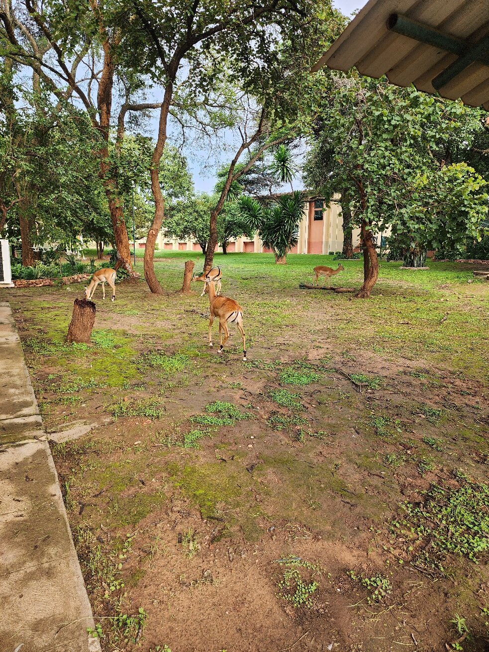 M'kango Golfview Hotel-官方