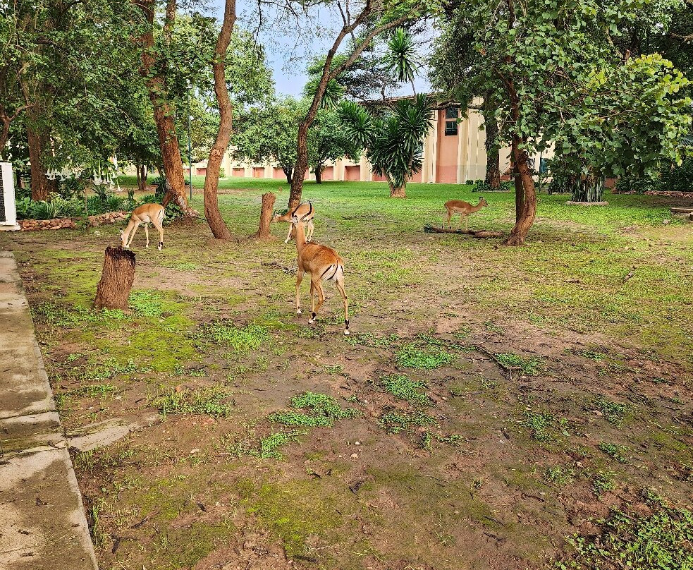 M'kango Golfview Hotel主图