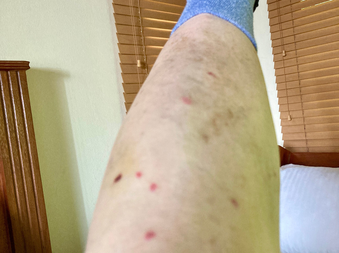 Borinquen Thermal Resort主图