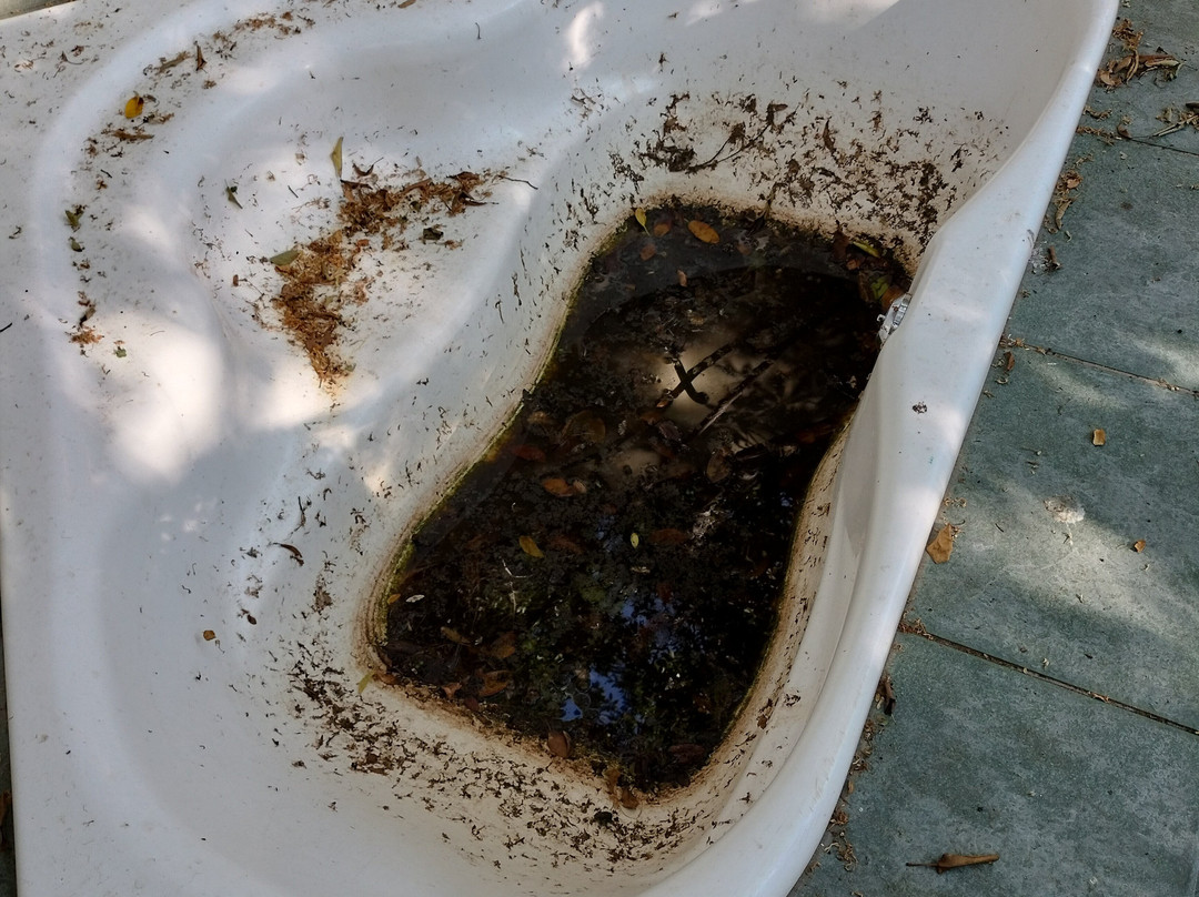 Serendipity Eco Trails-尼斯特鲁姆必去景点