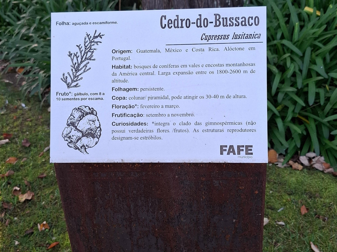 Jardim do Calvario景点图片