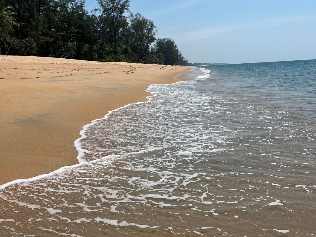 金佛海滩度假村主图