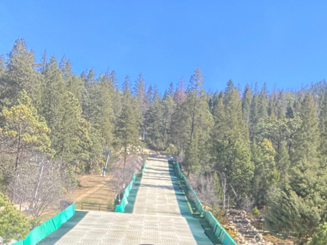 Bosques de Monterreal主图