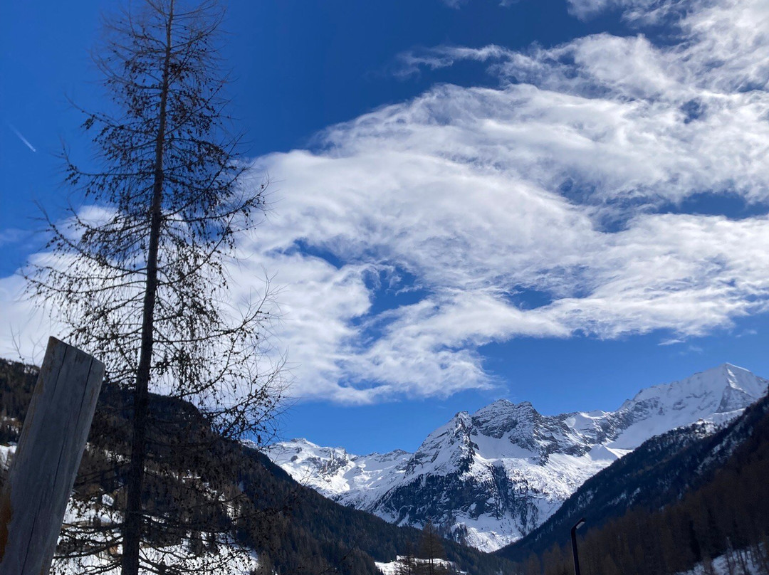 Bergchalet Hotel Reinerhof主图