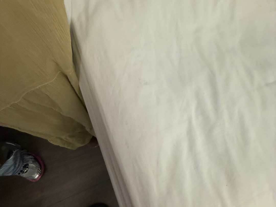 Microtel Inn & Suites By Wyndham Brooksville主图