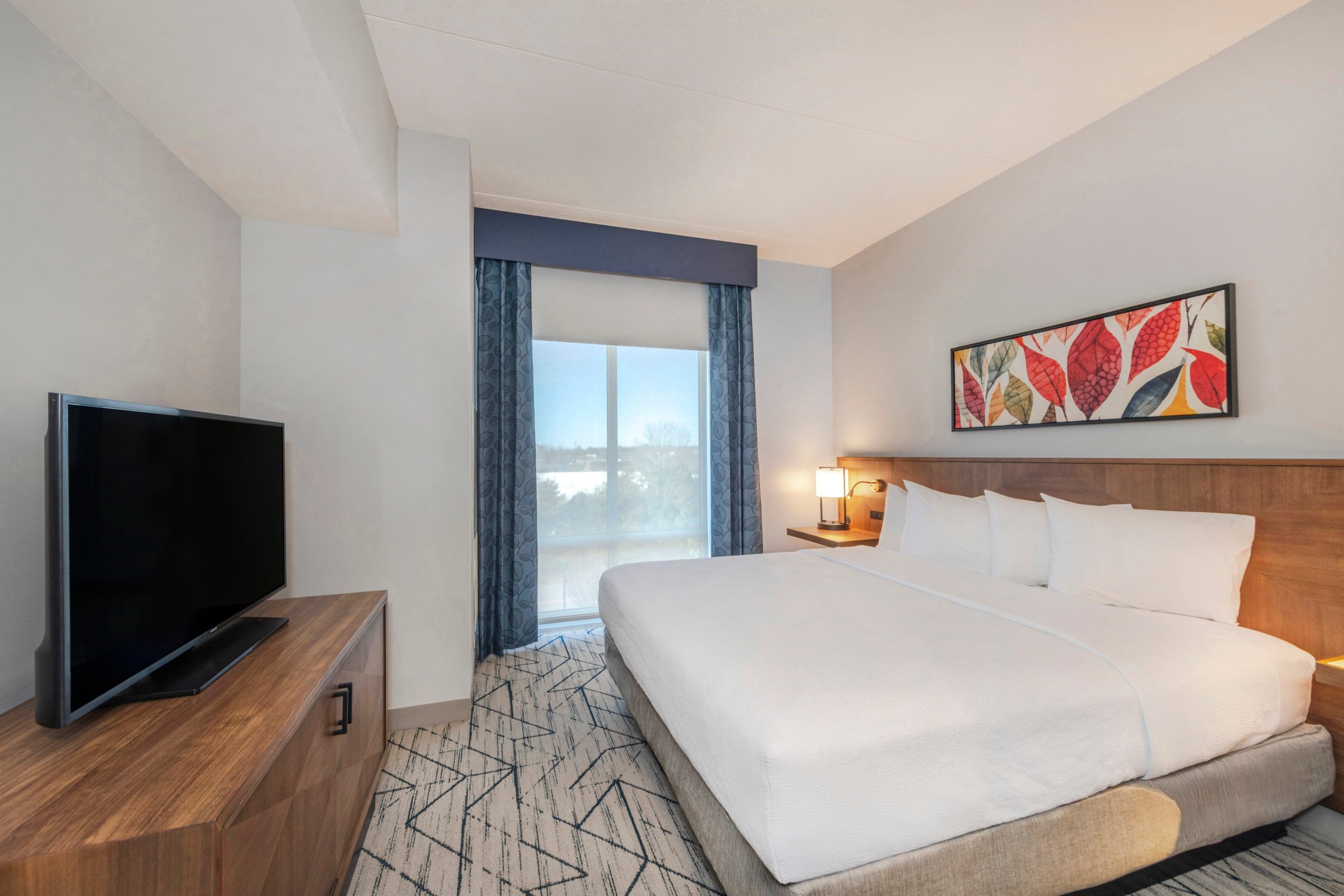 Hilton Garden Inn Raleigh-Cary-客卧