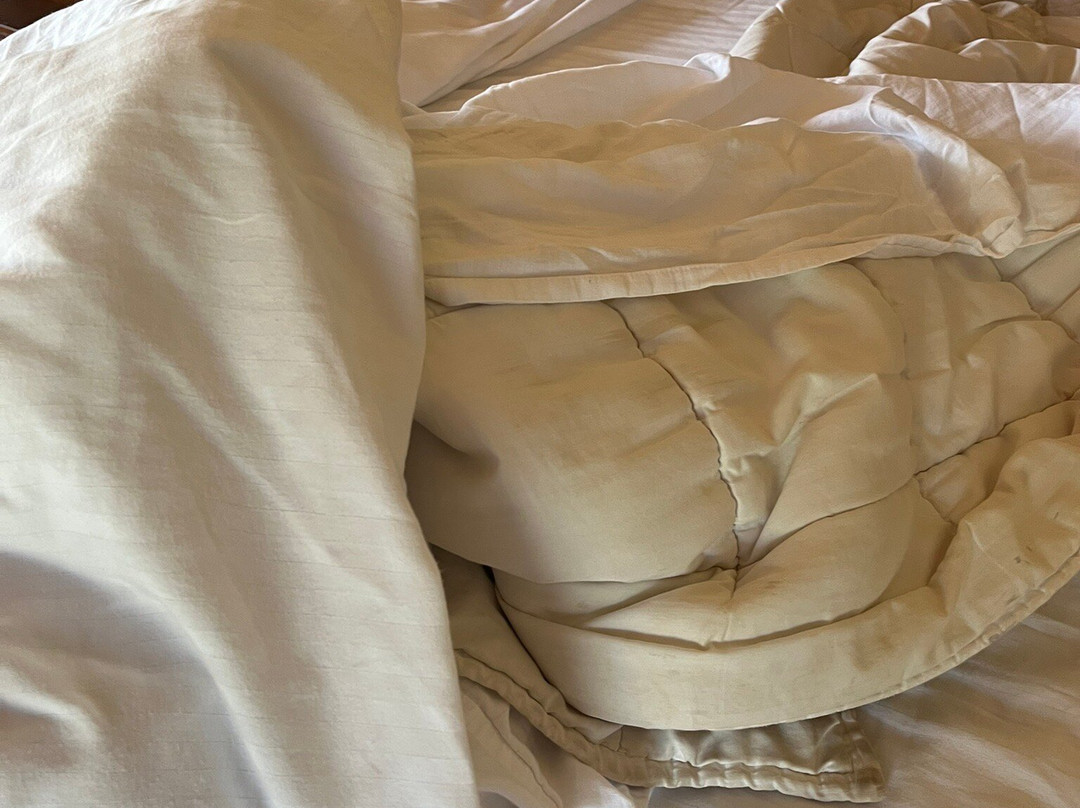 格兰德蒙纳广场酒店主图