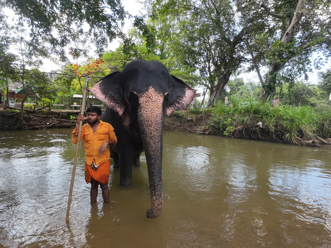 Roshan Tours And Travels Sri Lanka-班达拉维拉必去景点