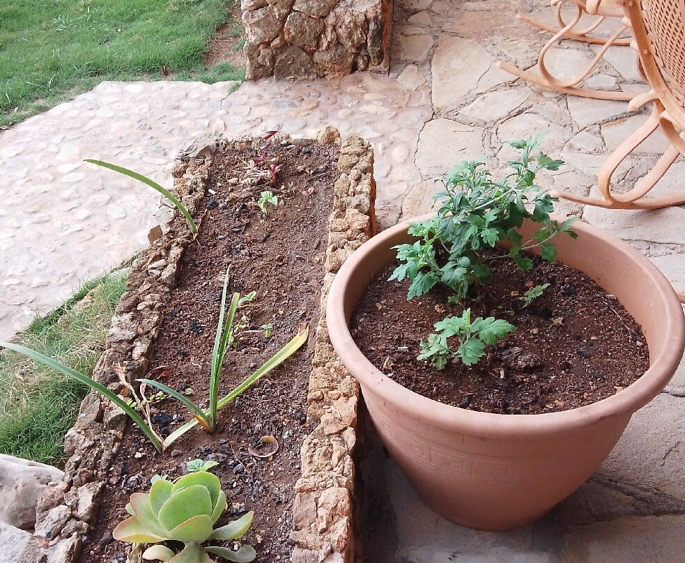 Casa Valido y Surami主图