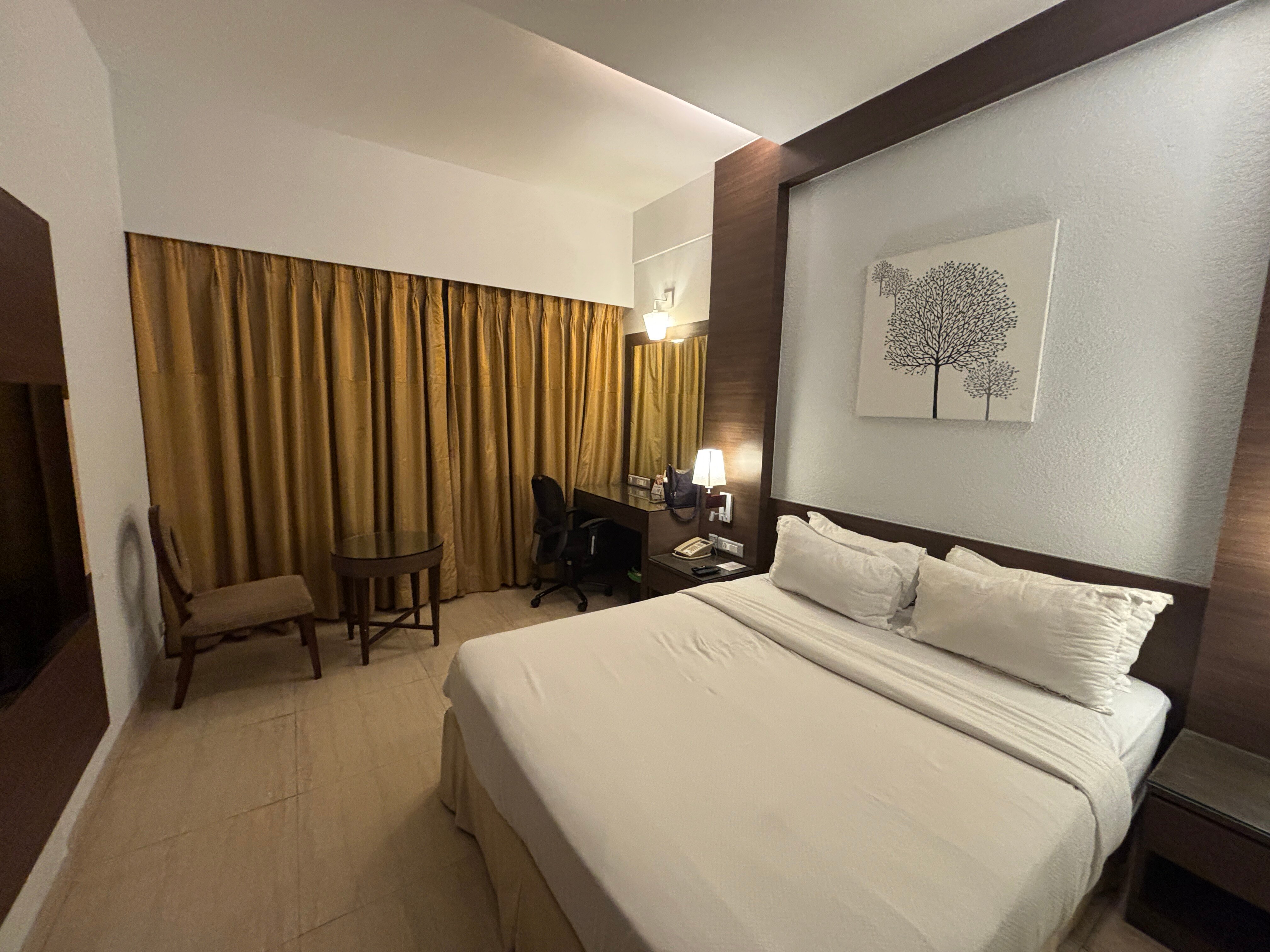 Goldfinch Hotel Mumbai-客卧