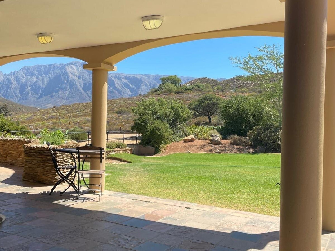 Karoo Desert National Botanical Garden景点图片