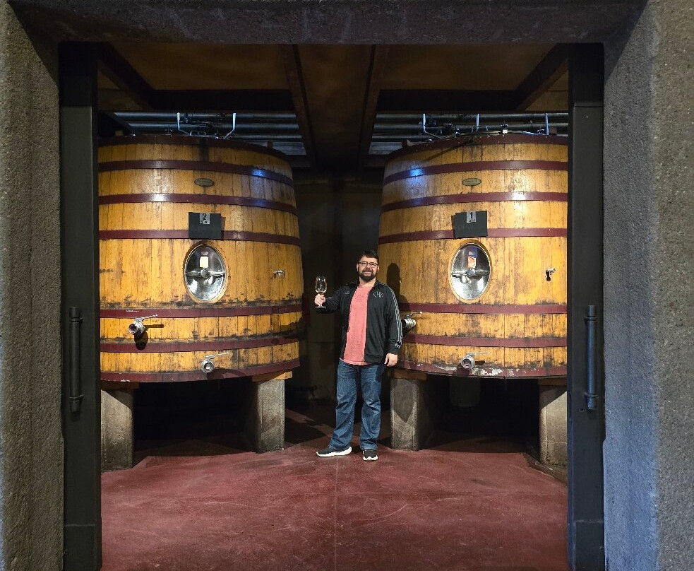 Bodega Vistalba景点图片