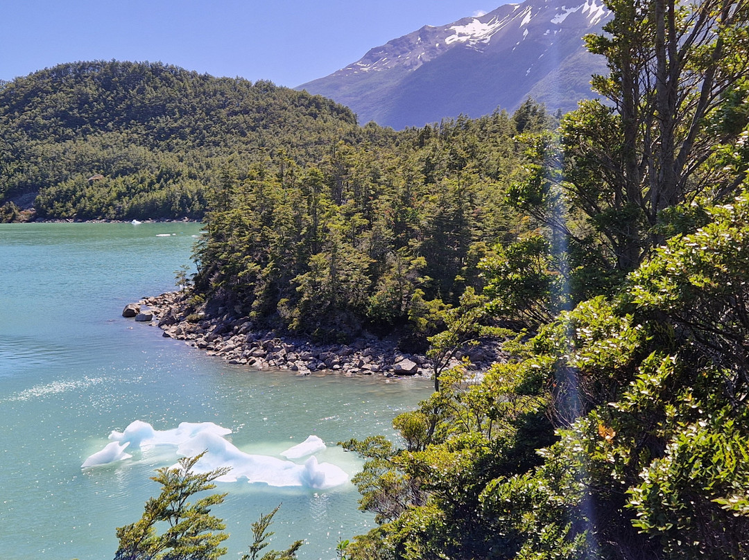 Bernardo O'Higgins National Park-纳塔莱斯港必去景点
