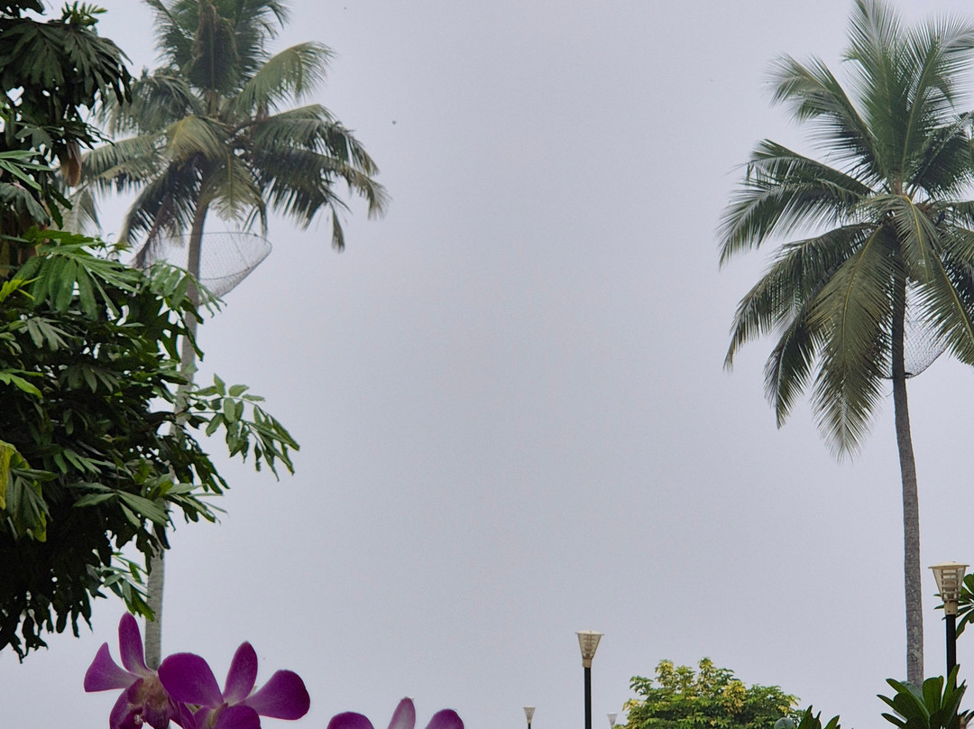 Experience Kerala Holiday Planners景点图片
