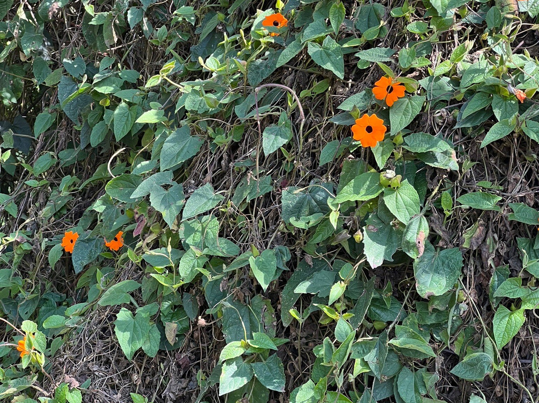 Museo Indigena Guatavita-Guatavita必去景点