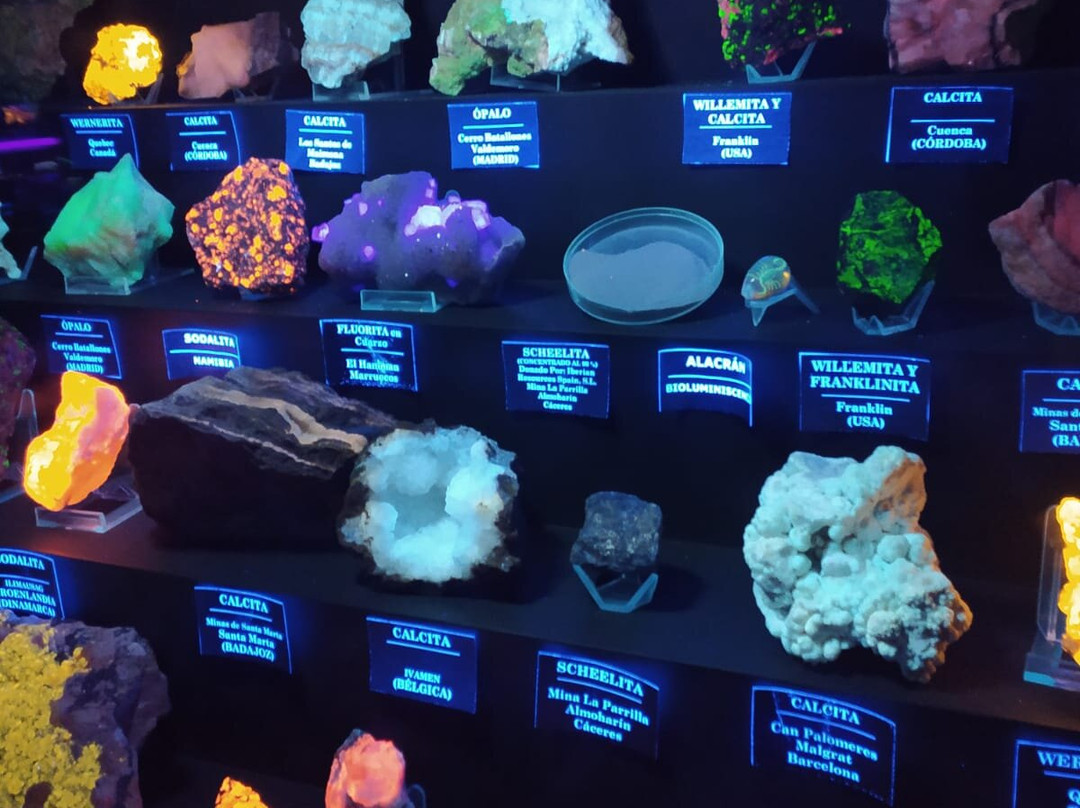 Museo Geologico y Minero de Santa Marta景点图片