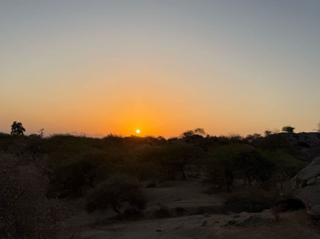 Trulyy The Jawai Leopard Kingdom主图