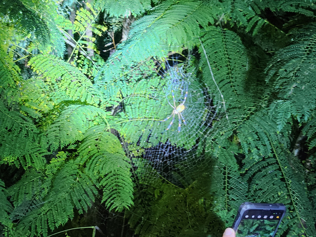 Sambola Tours Tortuguero-托图杰多必去景点
