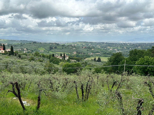 托瑞罗萨公寓别墅酒店主图