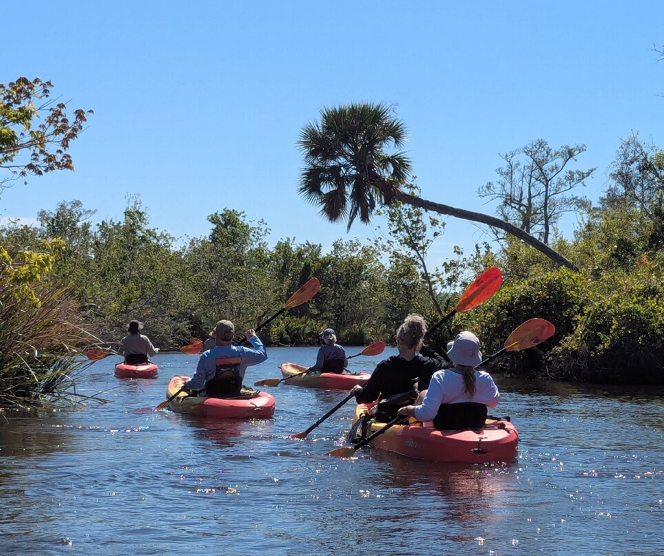 Kayak Eco Tours-阿卡迪亚必去景点