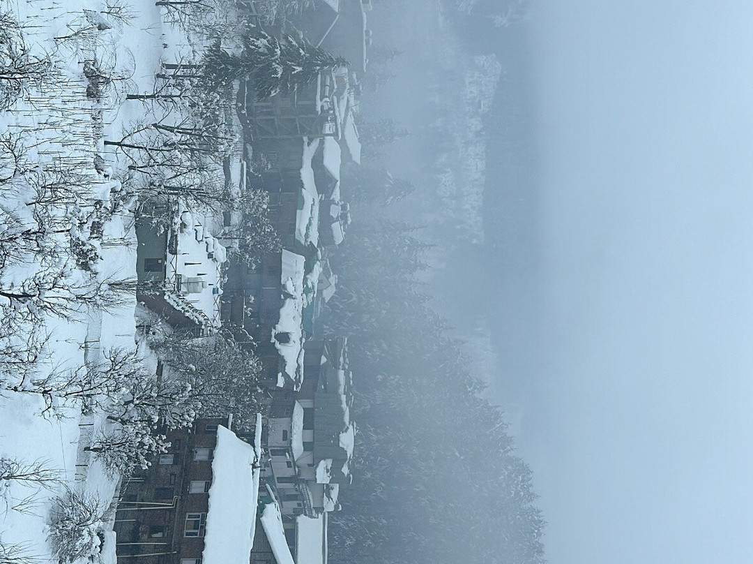 The Orchard Greens Resort主图