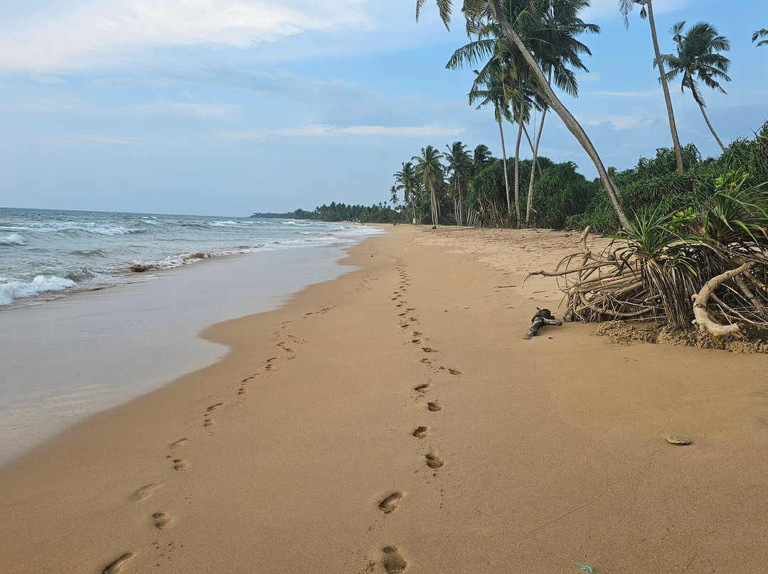 The Garden Beach Ayurveda Resort主图